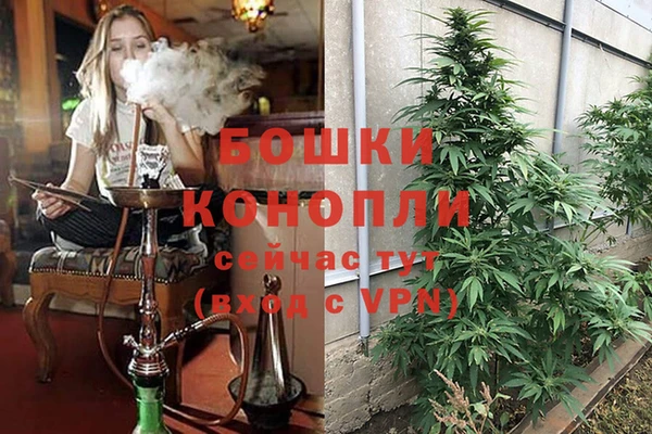 эйфоретик Семёнов