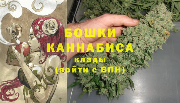 ГАЛЛЮЦИНОГЕННЫЕ ГРИБЫ Снежногорск