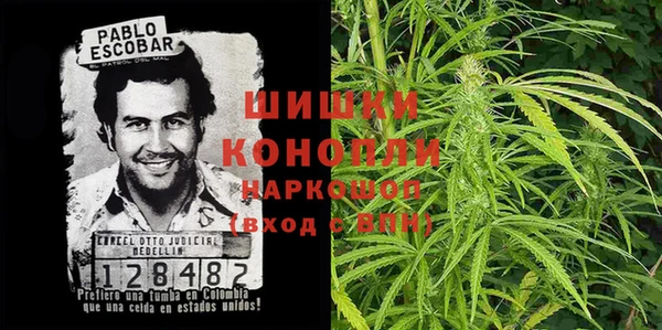 МДПВ Снежинск